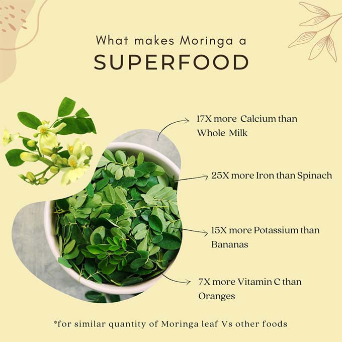 moringa is a superfood as it has 17x more calcium than milk, 25x more iron than spinach, 15x more potassium than bananas