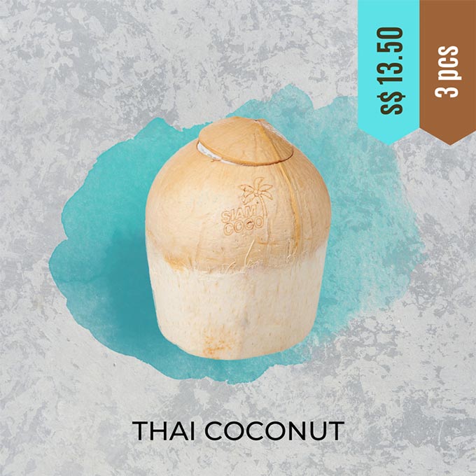 buy thai coconut in singapore at the EGA Store