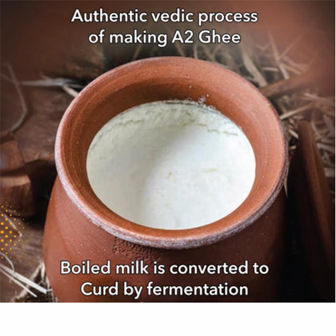 vedic process of making A2 ghee