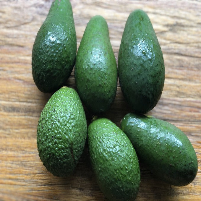 Imported Avocados