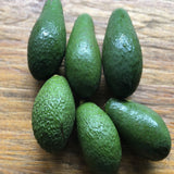 Load image into Gallery viewer, Imported Avocados