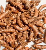 Load image into Gallery viewer, Organic fresh Indian Turmeric