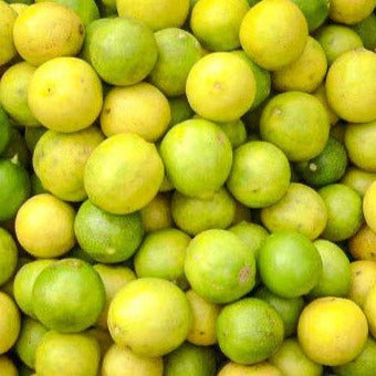 Lemon India