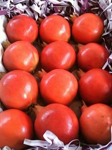 Organic Indian Pomegranate-3kg carton