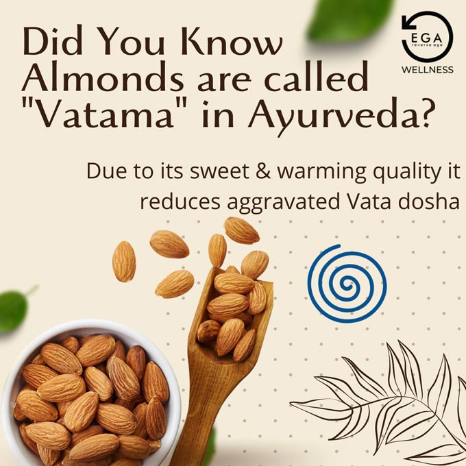 almonds called vatama in ayurveda