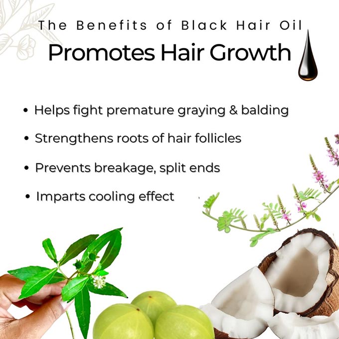 Black Coconut Oil - Promotes Hair Growth | EGA Wellness Singapore