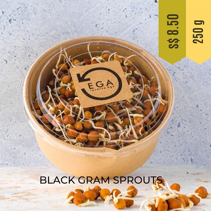 organic clack gram sprouts