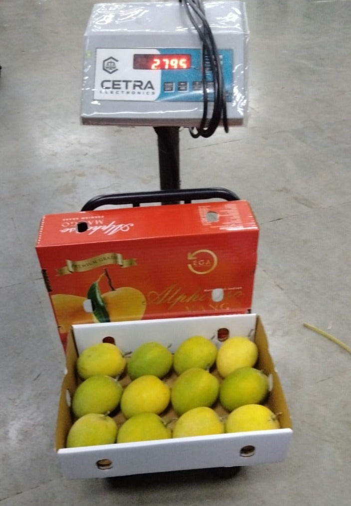 weighing the mangoes in india 