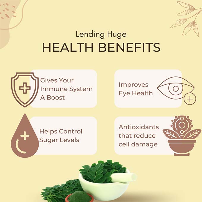 some of the health benefits of moringa include increase in immunity, improved eye health, controls sugar levels and reduce cell damage