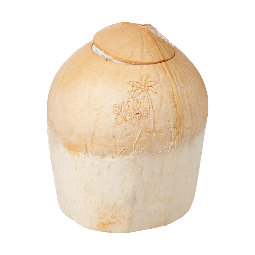Thai Coconut 