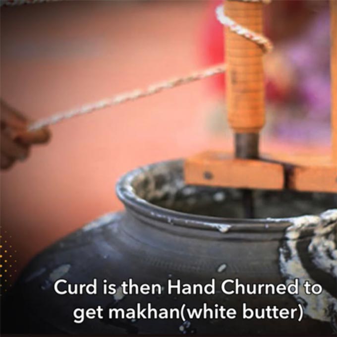 making organic ghee steps - curd is hand churned