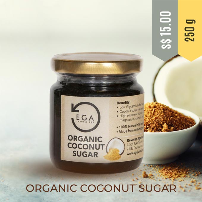 EGA organic coconut sugar in singapore